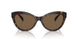 500373 - Tortoise - Brown