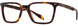 2 - Tortoise - DM