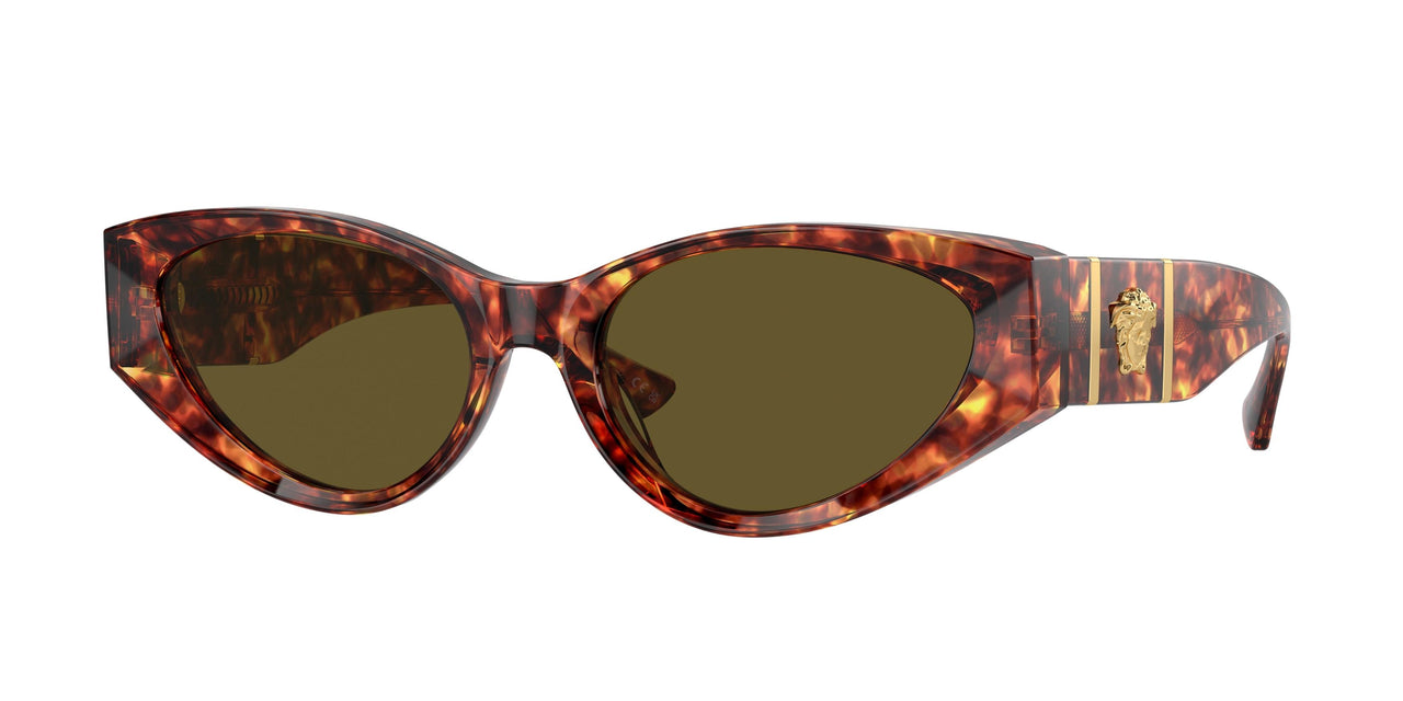 543773 - Tortoise - Dark Brown