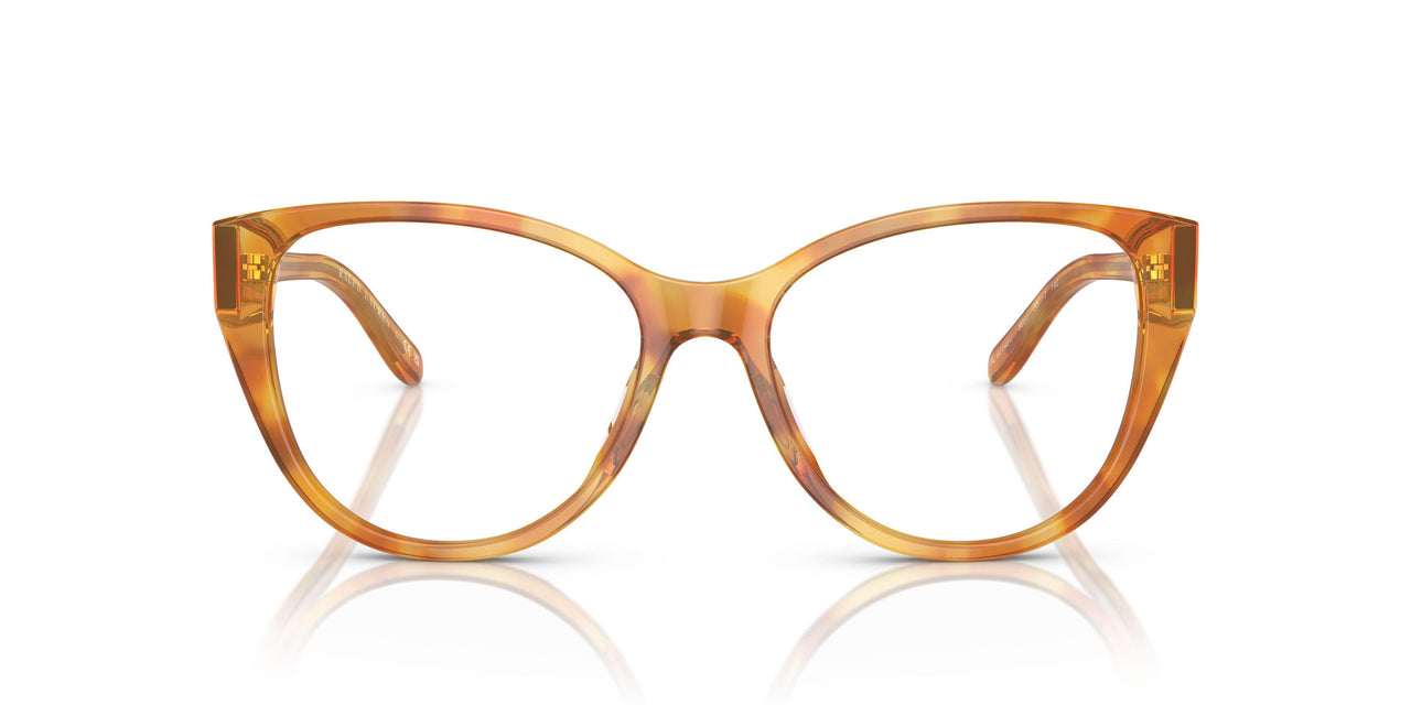 6051 - Tortoise