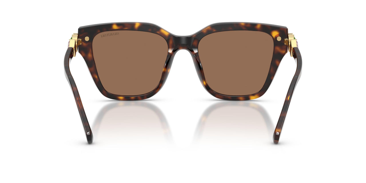 100273 - Tortoise - Dark Brown