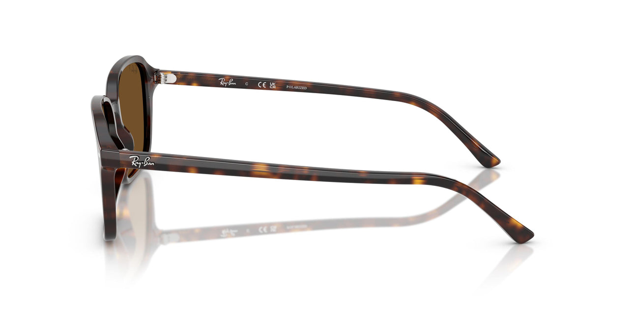 902/57 - Tortoise - B-15 Brown