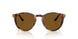513483 - Havana - Polar Brown