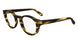 Salvatore Ferragamo SF2998 Eyeglasses