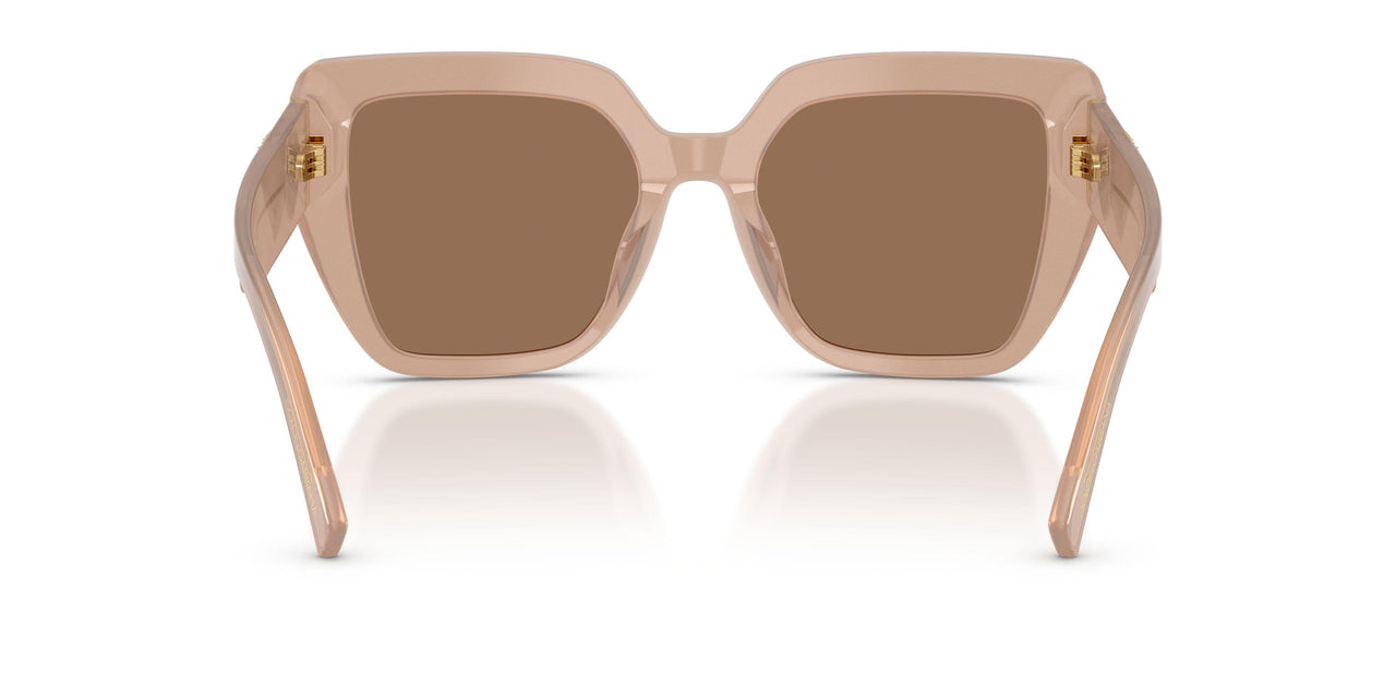 304273 - Brown - Dark Brown