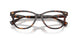 5003 - Tortoise