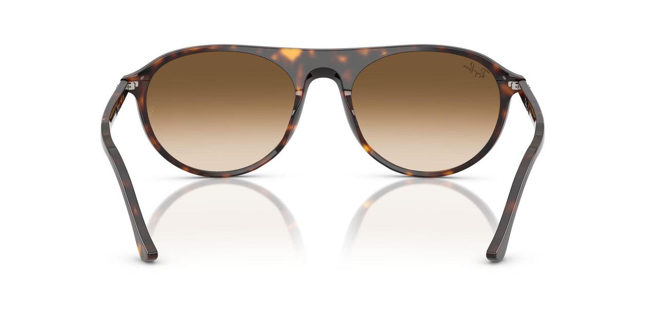 902/51 - Tortoise - Clear Gradient Brown