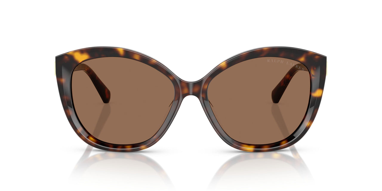 500373 - Brown - Brown