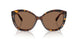 500373 - Brown - Brown