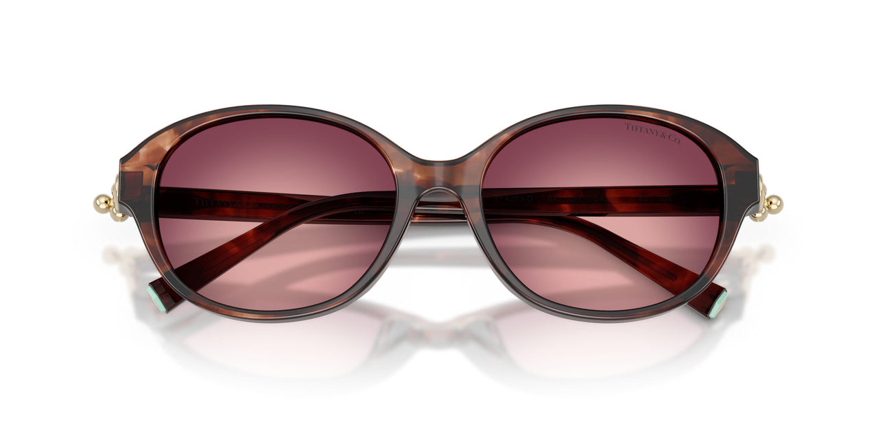 84218H - Brown - Pink/violet