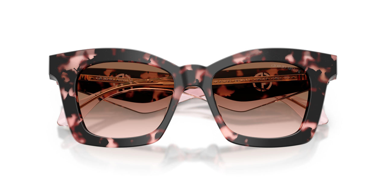 623013 - Tortoise - Brown Gradient