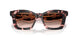 623013 - Tortoise - Brown Gradient