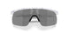 901040 - White - Prizm Black