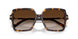 80153B - Tortoise - Brown Gradient