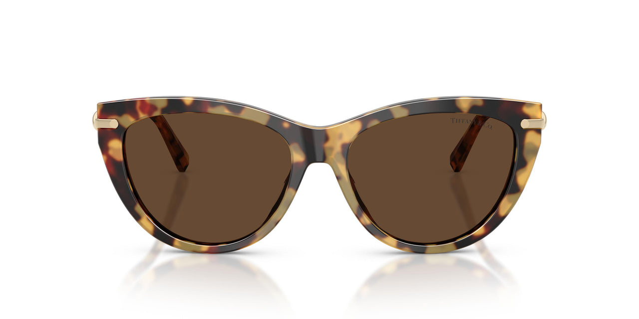 80643G - Tortoise - Light Brown
