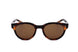 Webee CHESTNUT Sunglasses