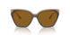 310183 - Brown - Dark Brown Polar