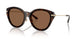 30063G - Tortoise - Dark Brown Solid