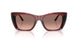 317513 - Brown - Peach