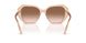 106313 - Brown - Gradient Brown