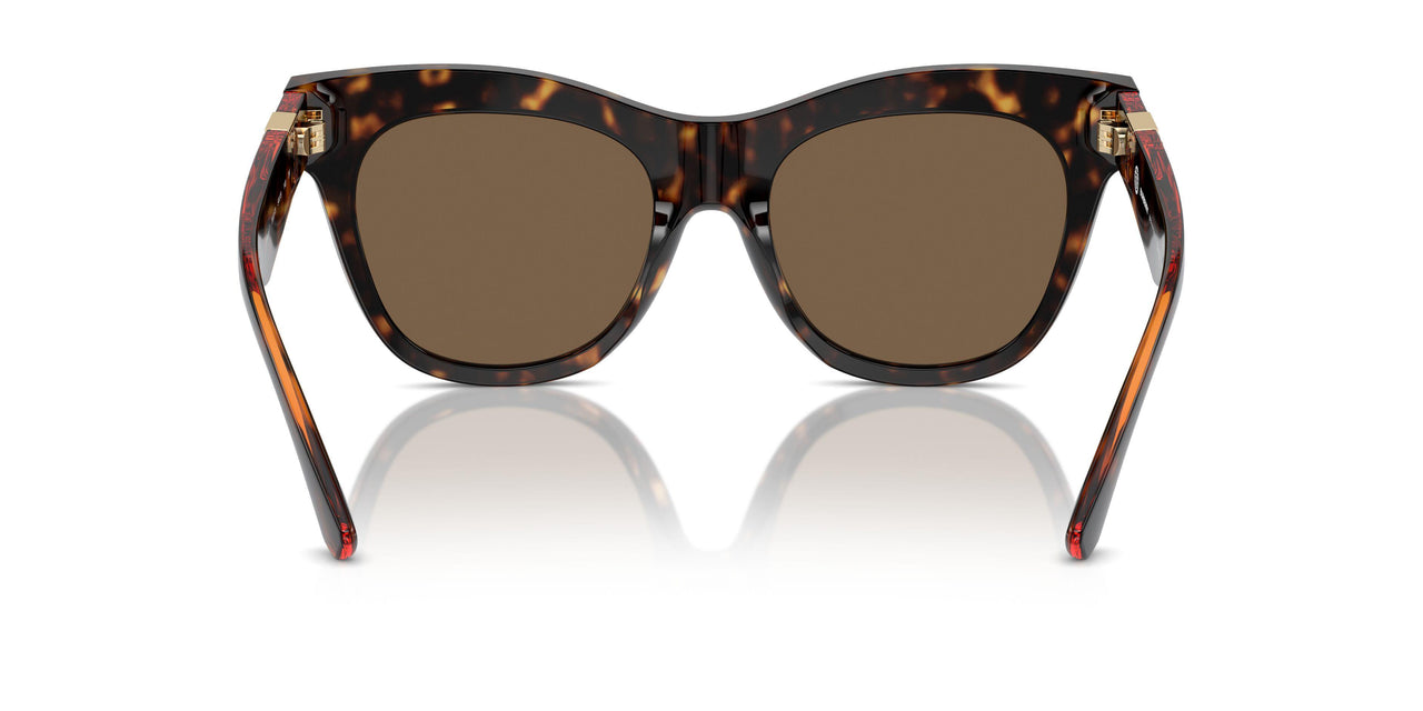 300273 - Brown - Dark Brown