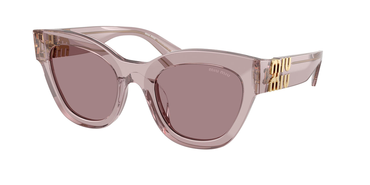 12W20I - Violet - Light Purple Brown