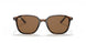902/57 - Tortoise - Brown
