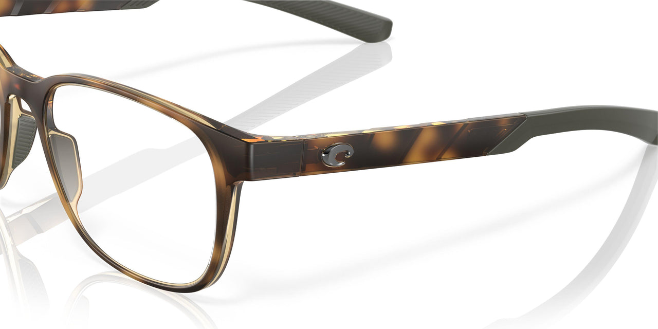 802202 - Tortoise