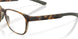 802202 - Tortoise