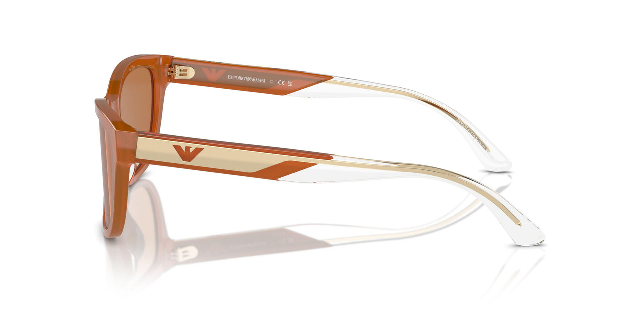 609773 - Orange - Brown