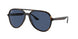 710/80 - Tortoise - Dark Blue