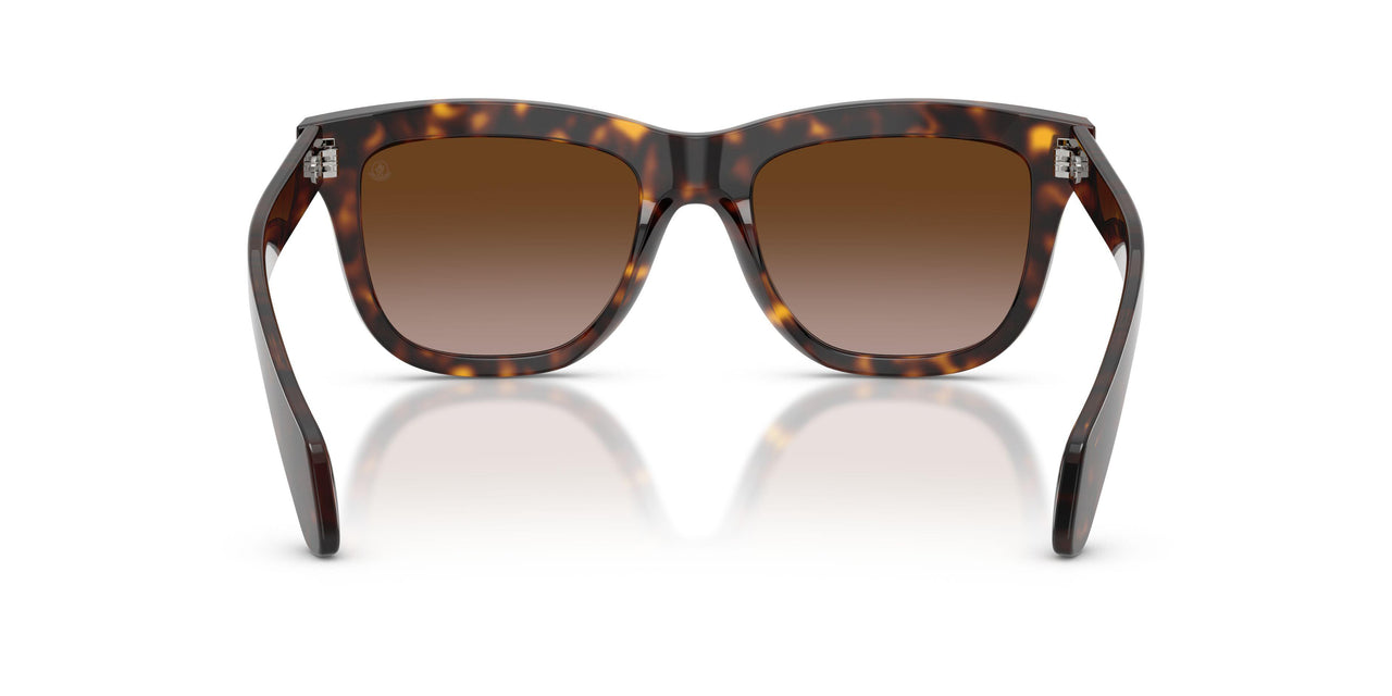 300213 - Tortoise - Gradient Brown