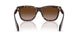 300213 - Tortoise - Gradient Brown