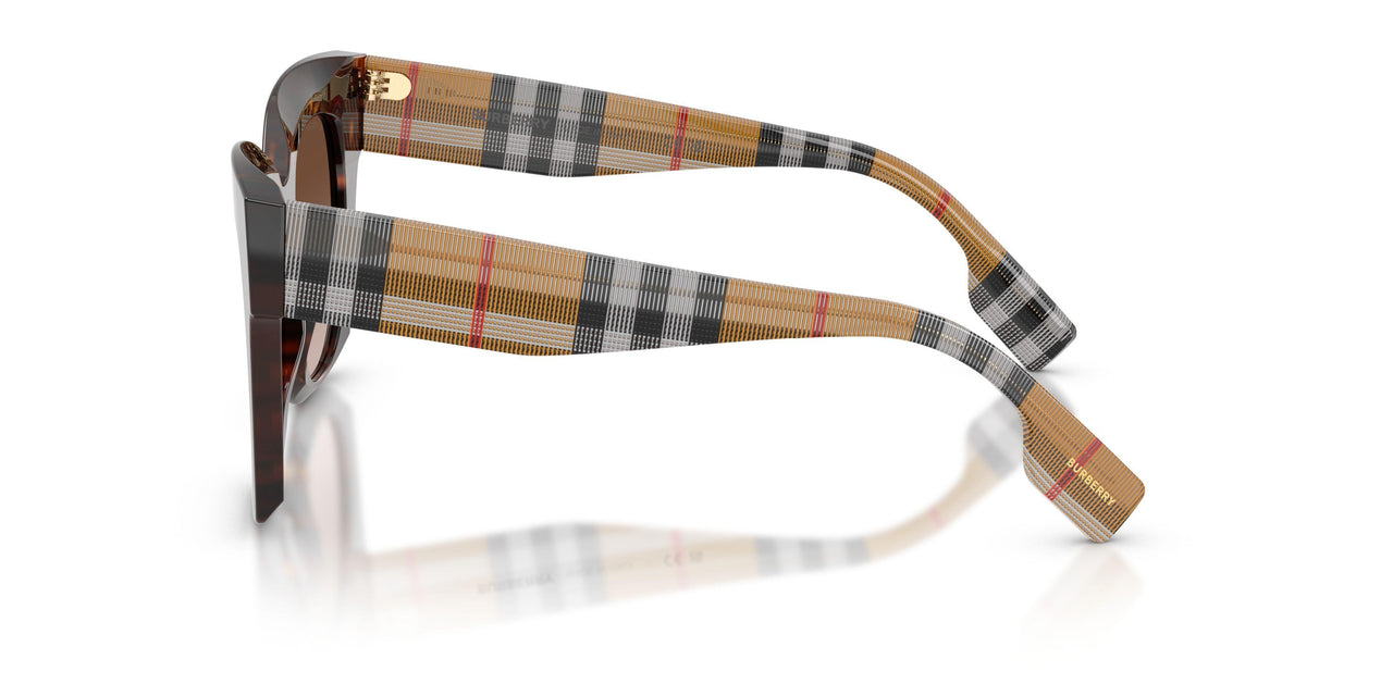 425113 - Brown - Brown Gradient