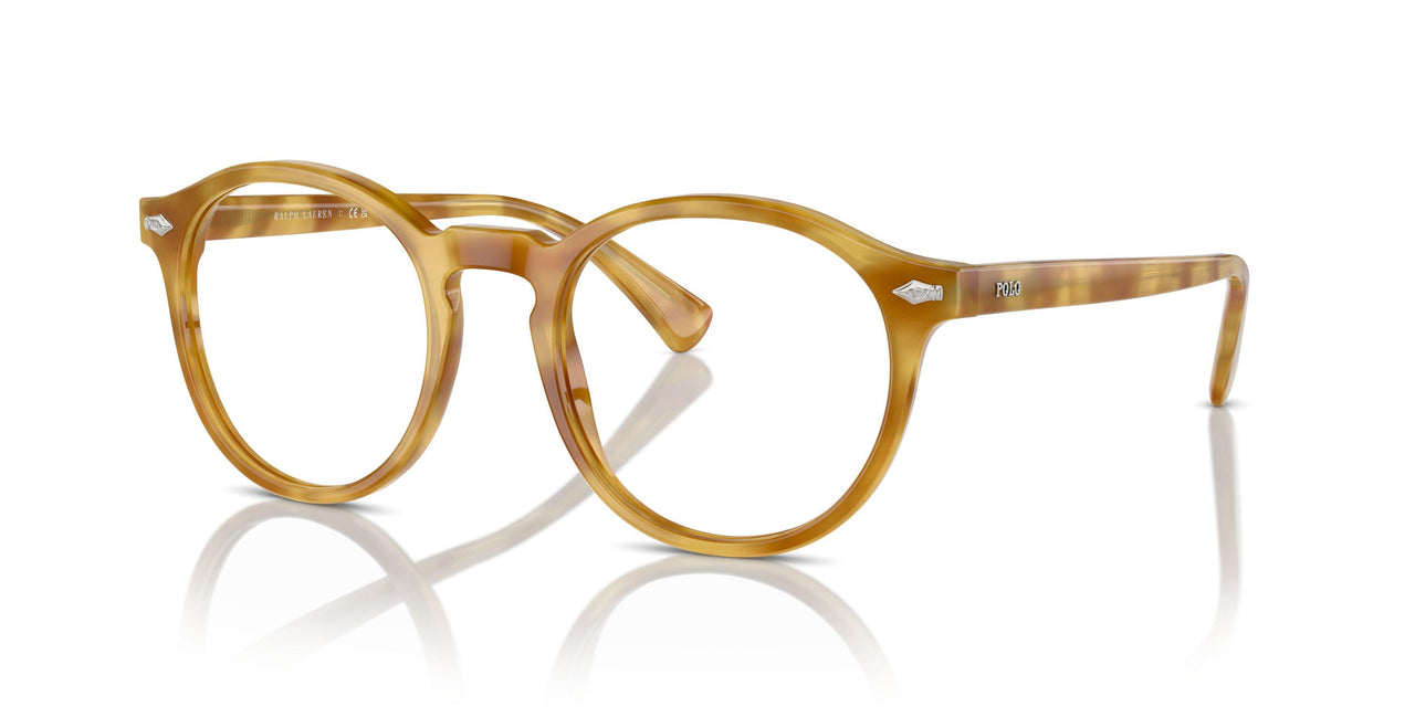 618573 - Tortoise - Brown
