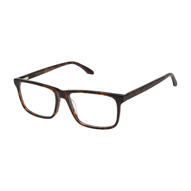 Aristar AR18667 Eyeglasses