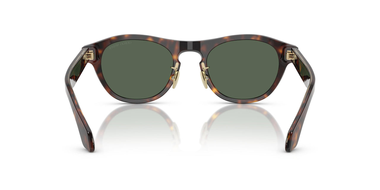 502671 - Tortoise - Dark Green