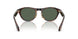 502671 - Tortoise - Dark Green