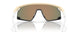928004 - Brown - Prizm Ruby