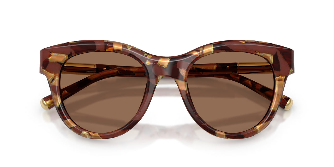 346273 - Tortoise - Dark Brown