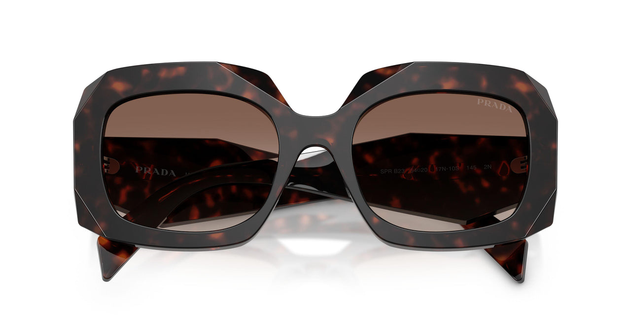 17N10S - Tortoise - Brown Gradient