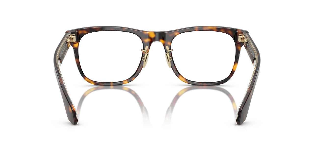 5026 - Tortoise