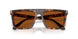 390473 - Tortoise - Brown Solid