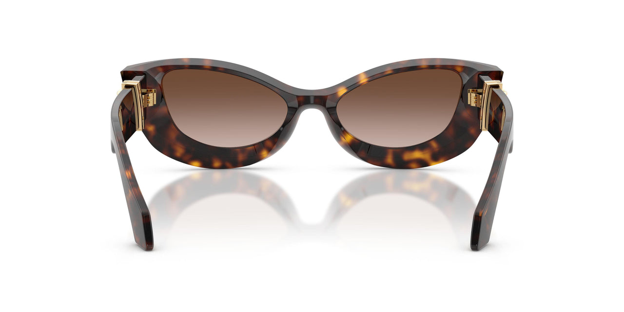 108/13 - Brown - Brown Gradient