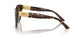 5002T5 - Tortoise - Polar Gradient Brown