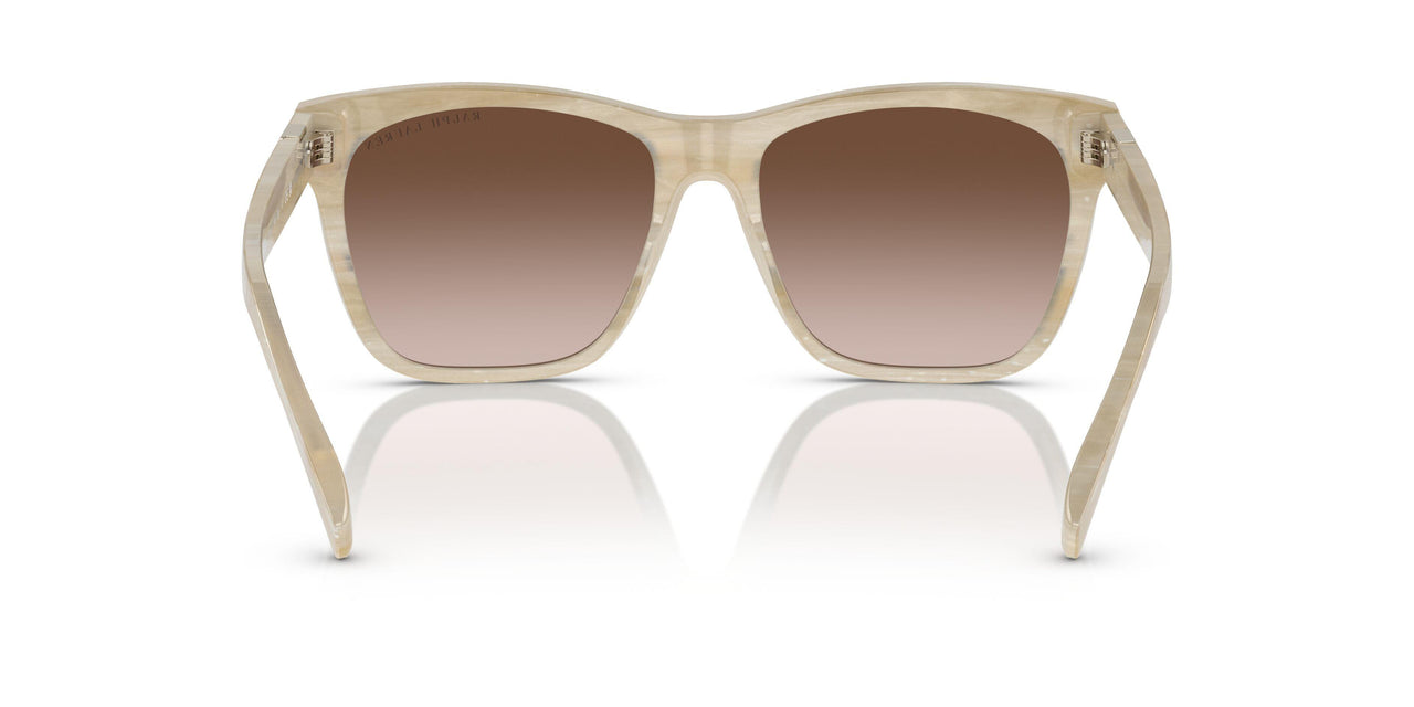 604813 - Tortoise - Gradient Brown