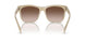 604813 - Tortoise - Gradient Brown