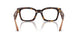 5026 - Tortoise