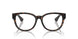 3002 - Brown