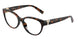 8015 - Tortoise